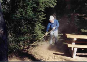 summer 2001 project weekend