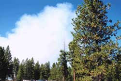 smoke