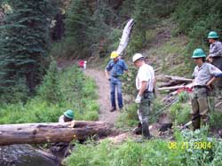 getting new logs for footbridge